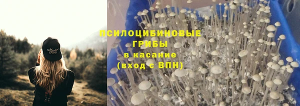 ALPHA-PVP Богданович