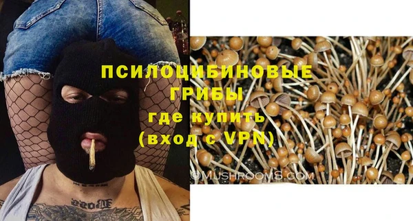 экстази Богородицк
