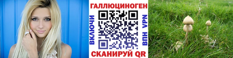 Псилоцибиновые грибы мухоморы Пестово